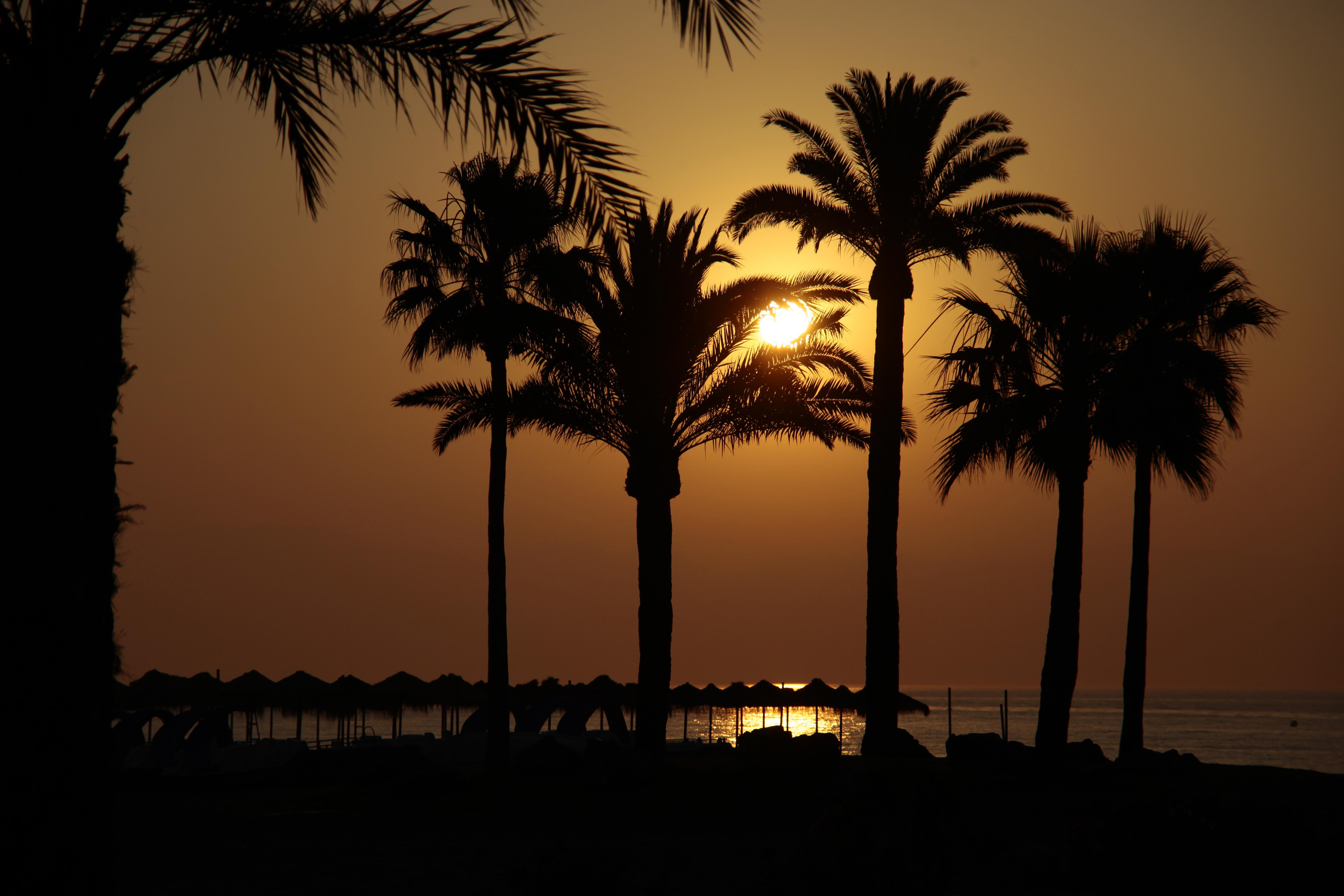 Ibersol Hotel 4*
